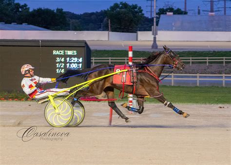 northfield harness results|Trackinfo .